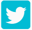 twitter social outlined logo